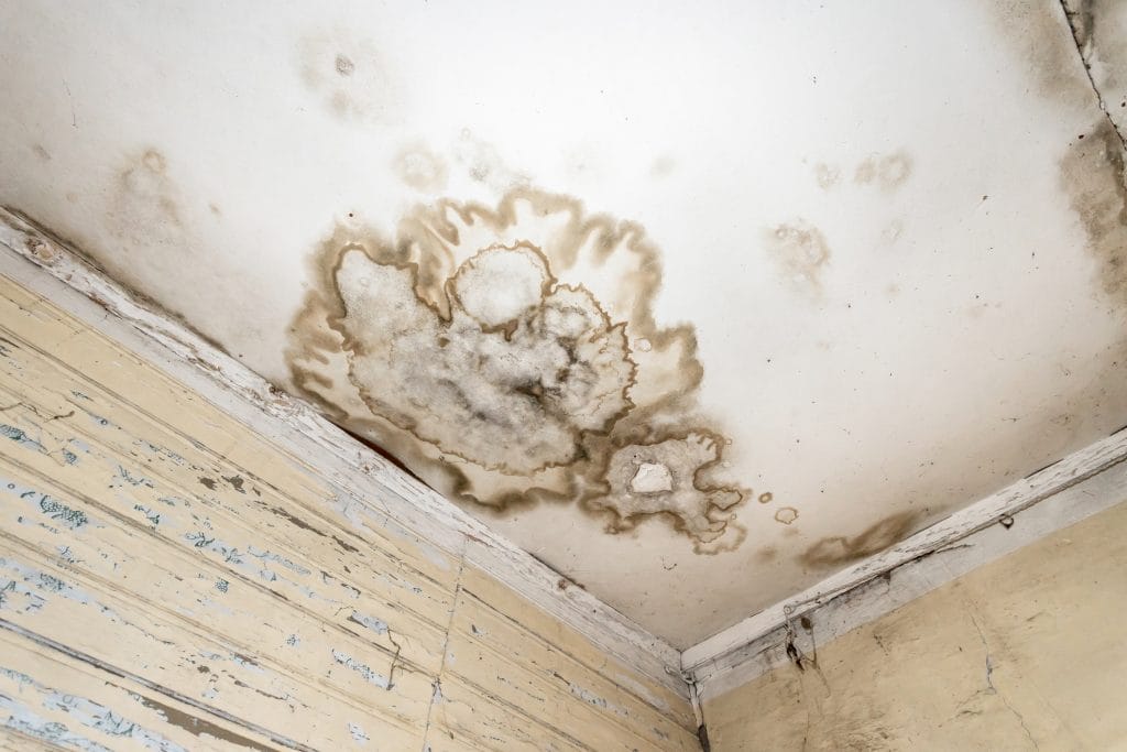 Mold on the ceiling of a house in Ohio.